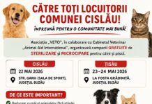 CISLĂU. Campanie gratuită de sterilizare și microcipare
