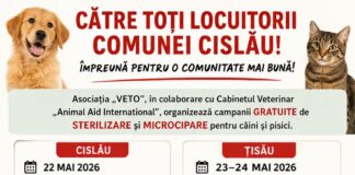 CISLĂU. Campanie gratuită de sterilizare și microcipare