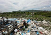 Amenzi de peste 2,4 milioane de lei, în primele patru luni ale anului. Bilanțul Gărzii de Mediu Buzău