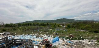 Amenzi de peste 2,4 milioane de lei, în primele patru luni ale anului. Bilanțul Gărzii de Mediu Buzău