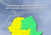 Cod galben în zona de munte a județului