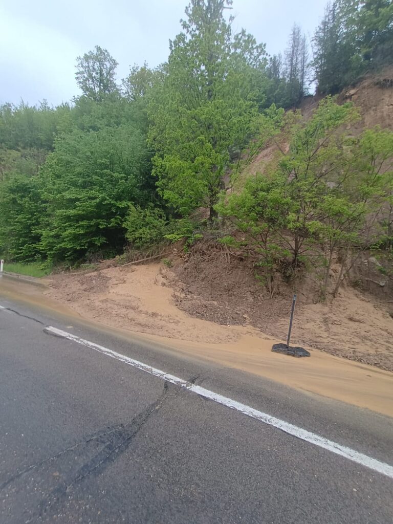 aluviuni versanți DN 10 Gura Siriului