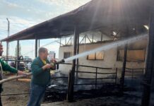 (UPDATE/VIDEO) Primarul, cu furtunul. Vezi AICI urmările incendiului puternic din Vernești