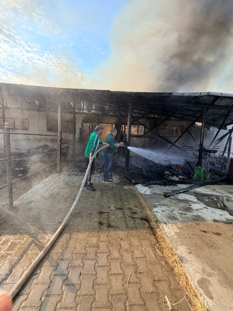 incendiu puternic Vernești