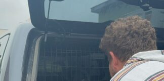 (VIDEO) Emoționant! Momentul revederii cu Nisha. Stăpânul, un austriac, rănit într-o drumeție