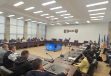 Problema urșilor, discutată cu primarii, într-o ședință convocată de prefectul Dimian