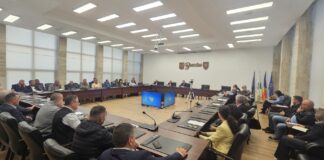 Problema urșilor, discutată cu primarii, într-o ședință convocată de prefectul Dimian