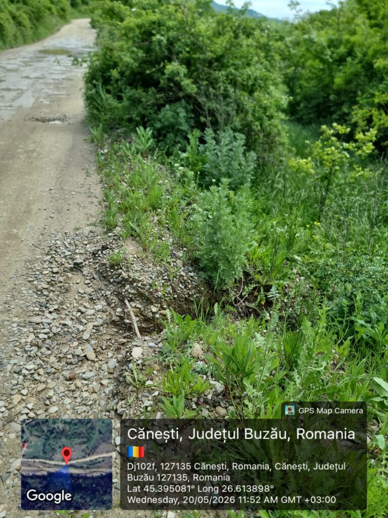 drumuri afectate de ploi județul Buzău