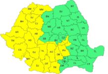 Cod galben în zona de munte a județului