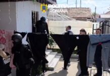 (VIDEO) PERCHEZIȚII. O femeie și un bărbat, în arest. Contrabandă cu țigări