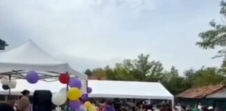 (VIDEO) BRĂDEANU. Petrecere pentru copii, de 1 iunie