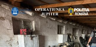 (UPDATE/VIDEO) Vicele și familia, în vizor. Percheziții la un parc de dezmembrări auto din Cochirleanca. Ce ilegalități au descoperit polițiștii