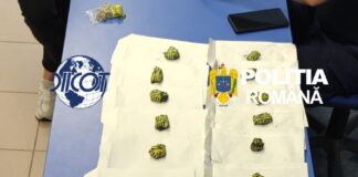 Tânăr arestat pentru trafic de droguri. De ce îngropa pliculețele cu canabis