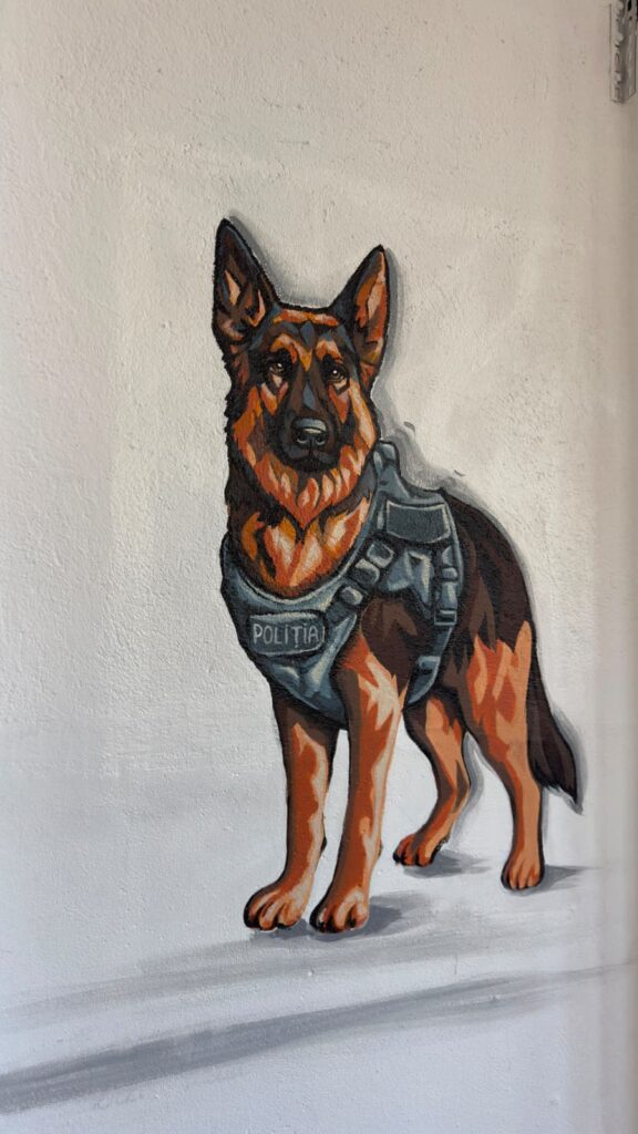 (VIDEO) Ce transformare! Sala de sport a polițiștilor buzoieni, animată de picturile elevilor de la Arte 9 sală de sport IPJ Buzău picturi elevi Liceul de Arte