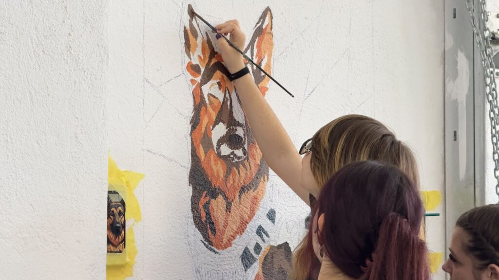 (VIDEO) Ce transformare! Sala de sport a polițiștilor buzoieni, animată de picturile elevilor de la Arte 7 sală de sport IPJ Buzău picturi elevi Liceul de Arte