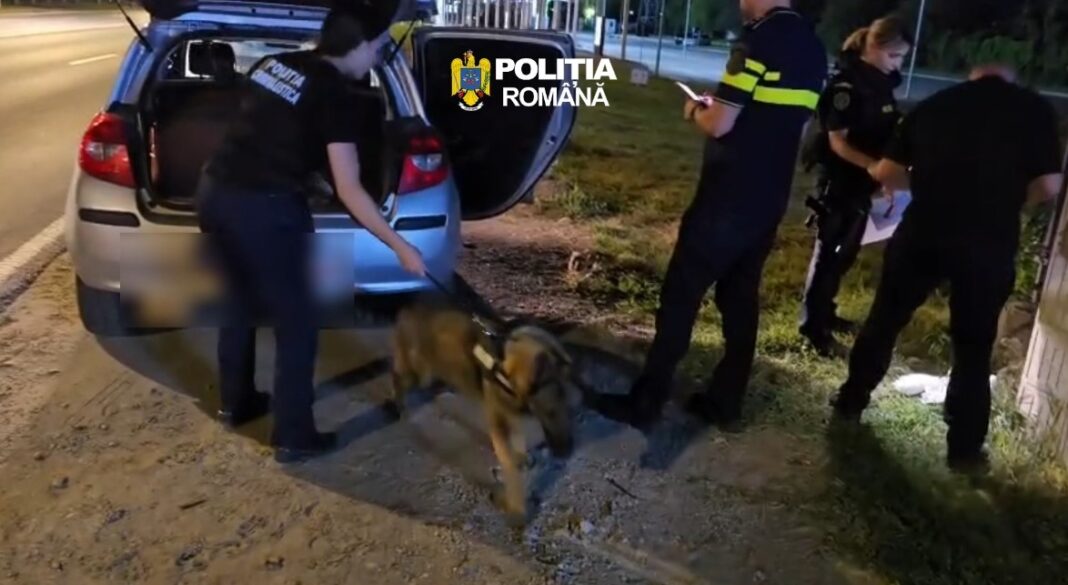 masina