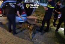 (VIDEO) Mașină confiscată, bărbat reținut. Ce au găsit polițiștii în autoturismul oprit în trafic