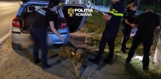 (VIDEO) Mașină confiscată, bărbat reținut. Ce au găsit polițiștii în autoturismul oprit în trafic