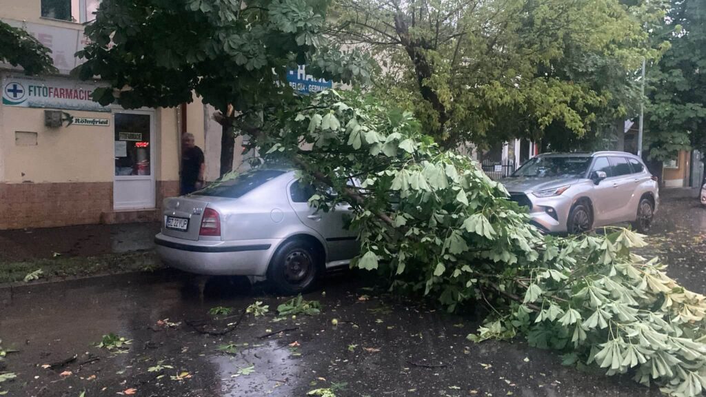 Bilanț. Zeci de copaci doborâți, sute de apeluri la 112 7 bilanț vijelie Buzău