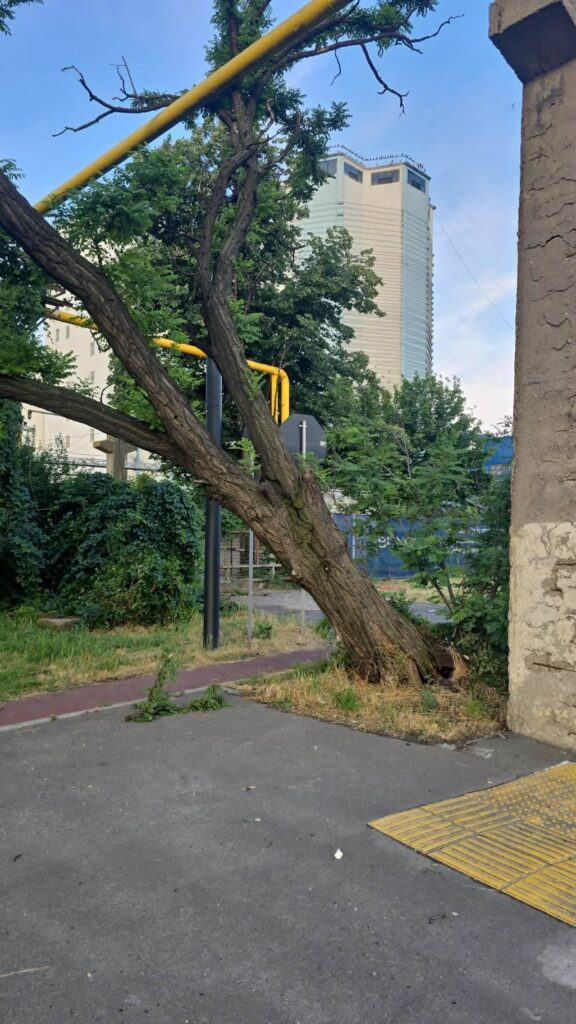 Bilanț. Zeci de copaci doborâți, sute de apeluri la 112 9 bilanț vijelie Buzău
