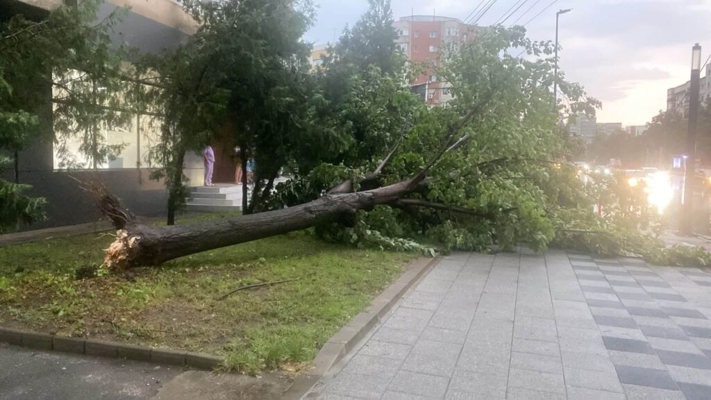 Bilanț. Zeci de copaci doborâți, sute de apeluri la 112 5 bilanț vijelie Buzău