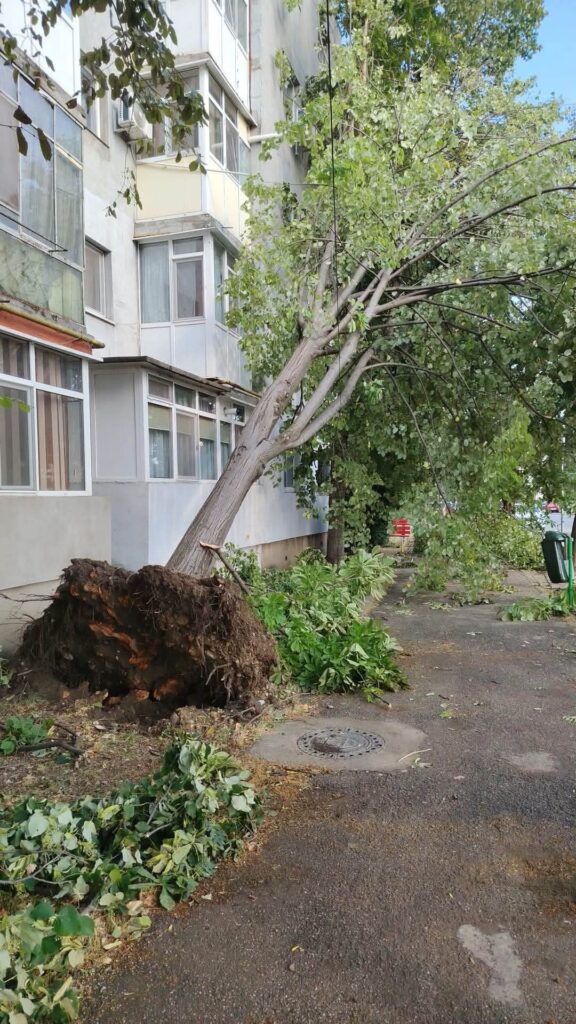 Bilanț. Zeci de copaci doborâți, sute de apeluri la 112 4 bilanț vijelie Buzău