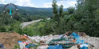 Amenzi de aproape 5,5 milioane de lei. Garda de Mediu, bilanț la jumătatea anului