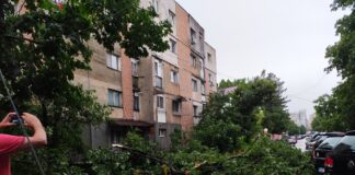 Bilanț. Zeci de copaci doborâți, sute de apeluri la 112