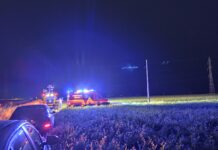 (FOTO) Mobilizare de forțe pe un câmp între Buzău și Maxenu, după un apel la 112