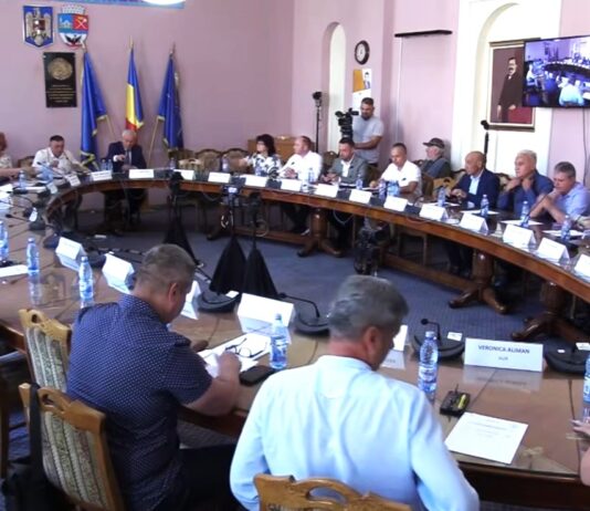 Ședință la Palatul Comunal. Ce proiecte sunt pe ordinea de zi a CLM din 30 septembrie