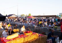 PRIMĂRIA BUZĂU. Proiect de hotărâre privind organizarea Târgului Toamna Buzoiană