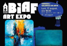 BIAF. FOREVER YOUNG, expoziție semnată de Emil Ciubotaru și Marius Cătălin Negoiță, la Galeriile de Artă