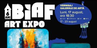 BIAF. FOREVER YOUNG, expoziție semnată de Emil Ciubotaru și Marius Cătălin Negoiță, la Galeriile de Artă