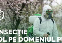 Dezinsecție în toate parcurile din orașul Buzău, vineri, 7 august