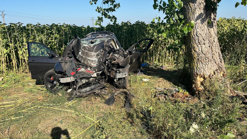 accident mortal Merei, bărbați decedați accident
