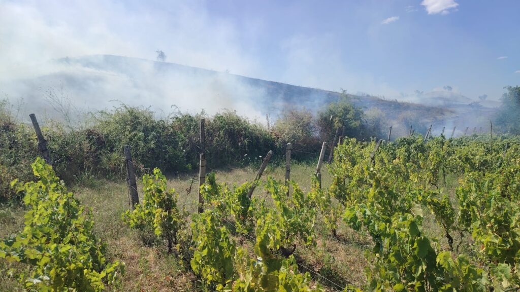 (VIDEO) Incendiu pe 20 de hectare, în comuna Podgoria. A fost emis mesaj RO-Alert 1 incendiu de vegetație Podgoria, ISU Buzău