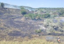 (VIDEO) Incendiu pe 20 de hectare, în comuna Podgoria. A fost emis mesaj RO-Alert