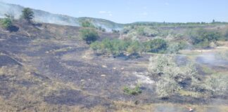 (UPDATE/VIDEO) S-a extins pe aproape 100 de hectare. Incendiu în comuna Podgoria. A fost emis mesaj RO-Alert