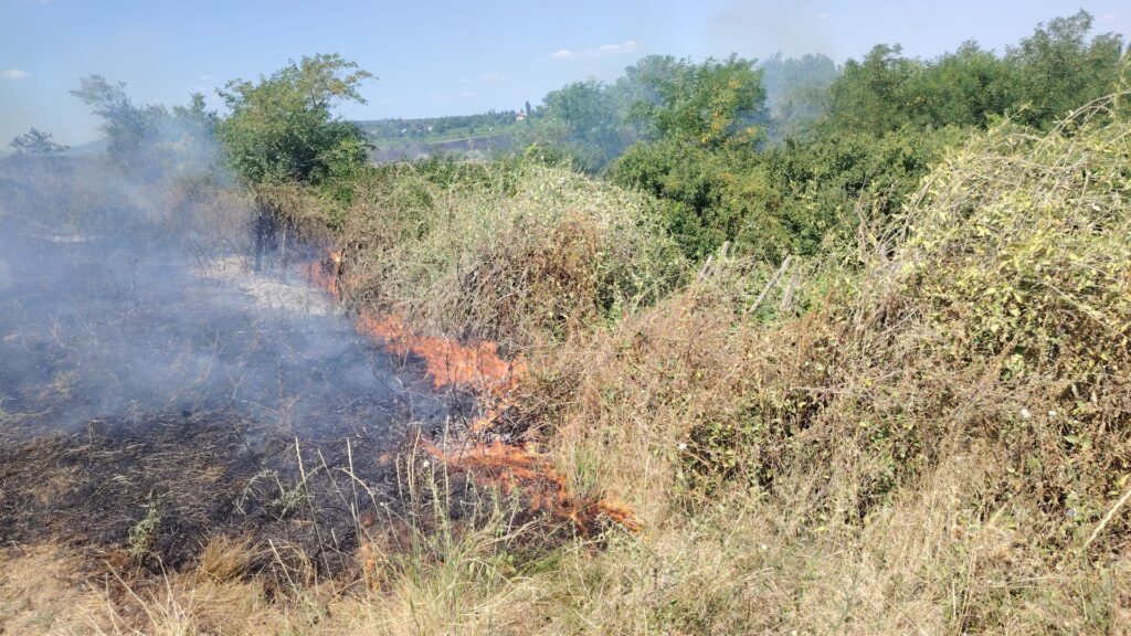 (VIDEO) Incendiu pe 20 de hectare, în comuna Podgoria. A fost emis mesaj RO-Alert 2 incendiu de vegetație Podgoria, ISU Buzău