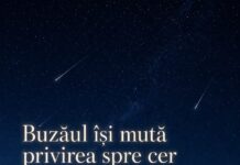 Buzoienii, invitați să admire Perseidele pe Dealul Istrița. Fenomenul uimitor, în noaptea de miercuri spre joi