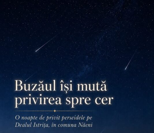 Buzoienii, invitați să admire Perseidele pe Dealul Istrița. Fenomenul uimitor, în noaptea de miercuri spre joi