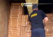 (VIDEO) Captură record de țigări de contrabandă. Unde erau ascunse pachetele. Doi bărbați, reținuți
