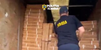 (VIDEO) Captură record de țigări de contrabandă. Unde erau ascunse pachetele. Doi bărbați, reținuți