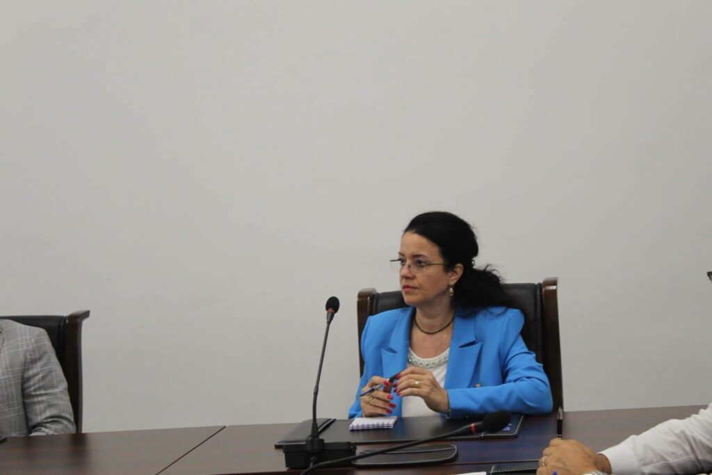 inspector școlar general Gina Manea, prefect Leonard Dimian, pregătiri nou an școlar 2026-2027, videoconferință început an școlar