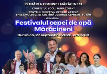 Pregătiri pentru a doua ediție a Festivalului Cepei de Apă de Mărăcineni