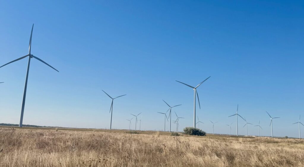 (VIDEO) INAUGURARE. VIFOR, cel mai mare parc eolian din țară. Marcel Ciolacu: Aduce venituri consistente la bugetele locale și noi oportunități de dezvoltare 1 30 turbine parc eolian Buzău, inaugurare Parc Eolian Vifor Buzău