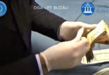 (VIDEO) Iată imaginile de la percheziții! Șpaga pentru permisele auto, între 600 și 1000 de euro! Unde ajungeau banii, ce spun anchetatorii