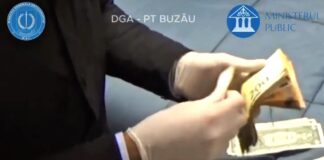 (VIDEO) Iată imaginile de la percheziții! Șpaga pentru permisele auto, între 600 și 1000 de euro! Unde ajungeau banii, ce spun anchetatorii