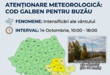 Avertizare meteo și pentru Buzău. Intensificări ale vântului, până diseară
