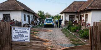 Încă un caz de violență domestică. Tânăr în arest, după ce și-a bătut mătușa. Cine a sărit în ajutorul femeii